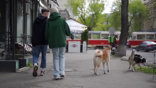 Ett Gift Par Rastar Sina Hundar Gatan Staden Akita Inu — Stockvideo