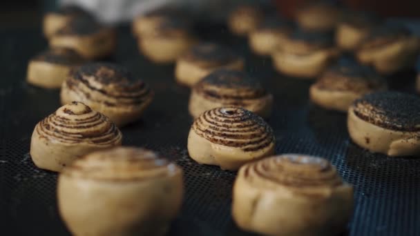 Mutfakta Tarçınlı Kek Yapan Kadın — Stok video