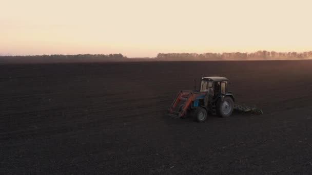 Agricultura Agricultor Num Tractor Trabalha Campo Antes Sementeira — Vídeo de Stock