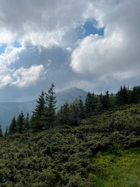 Dağcılık yolu, Hoverla, Ukrayna