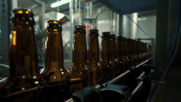 Bira Fıçılarına Şişelere Doldurmak Için Konveyör Hattı Modern Bira Fabrikası — Stok video