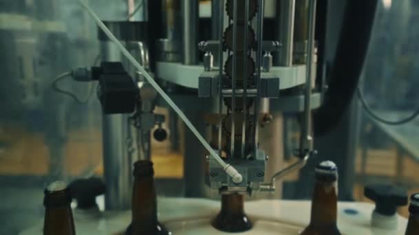 Conveyor Line Bottling Beer Kegs Bottles Modern Brewery Automated Production — 图库视频影像