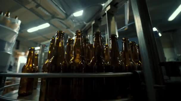 Conveyor Line Bottling Beer Kegs Bottles Modern Brewery Automated Production — Αρχείο Βίντεο