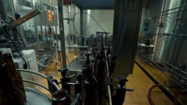 Bira Fıçılarına Şişelere Doldurmak Için Konveyör Hattı Modern Bira Fabrikası — Stok video