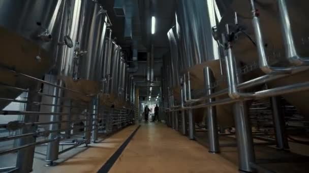 Large Steel Tanks Beer Industrial Brewery Plant Stainless Steel Tanks — 图库视频影像