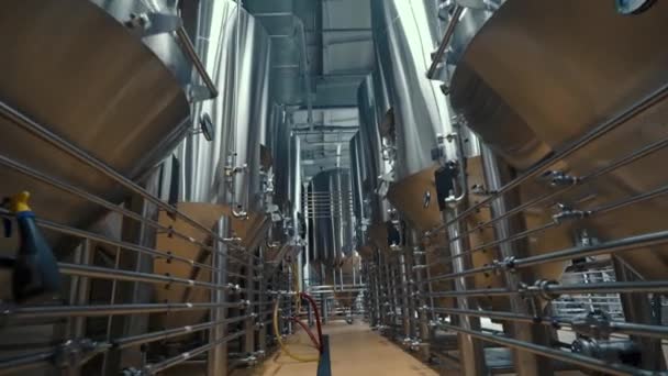 Endüstriyel Bira Fabrikasında Bira Bulunan Büyük Çelik Tanklar Bira Demlemek — Stok video