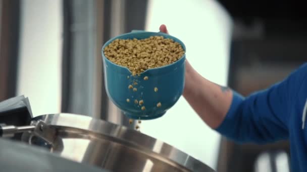 Granulated Malt Poured Tank Production Beer Brewery — Video Stock