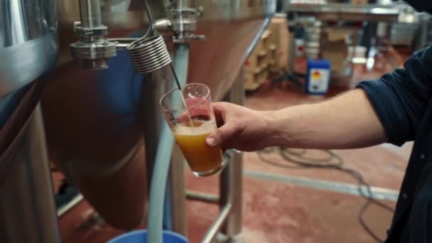 Εξοπλισμός Παραγωγής Μπύρας Στο Ζυθοποιείο Εργοστάσιο — Αρχείο Βίντεο