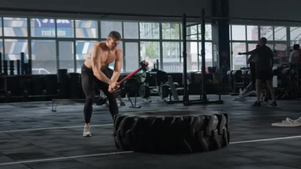 Young Male Athlete Trains Gym Ropes Crossfit Endurance Training — Stockvideo