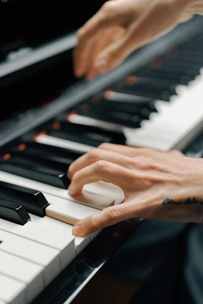 Rafine Kadın Piyanist Ince Parmaklarıyla Piyano Çalar Müzik Aleti Çalar — Stok fotoğraf