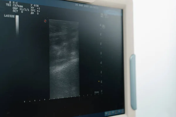 a veterinary clinic: veterinary doctor makes an ultrasound for a dog