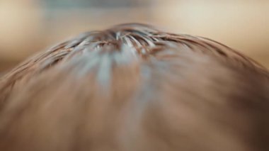 Barbershop: super close-up of hair during haircut