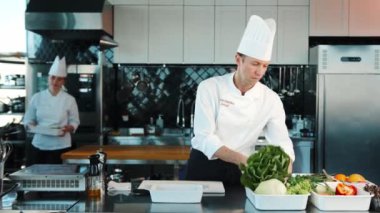 Professional restaurant kitchen, portrait of chefs Men and women: Chef's assistant brings the ingredients