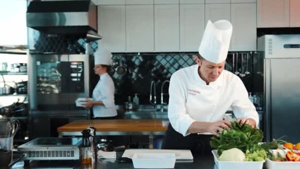 Professional Restaurant Kitchen Portrait Chefs Men Women Chef Assistant Brings — Stock Video