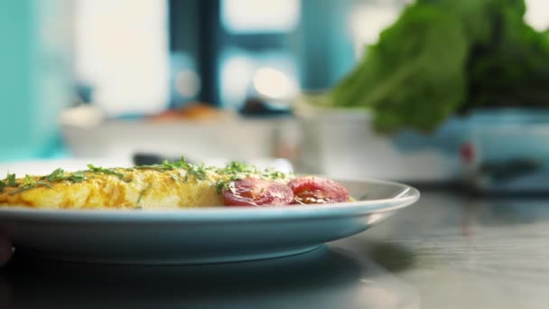 Professional Restaurant Kitchen Close Chef Serves Omelette — Video