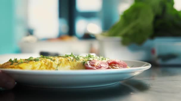 Professional Restaurant Kitchen Close Chef Serves Omelette — Stock Video