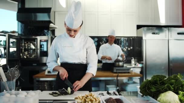 Ресторан Kitchen Портрет Мужского Женского Приготовления Блюд Профессионалы Готовят Вкусные — стоковое видео