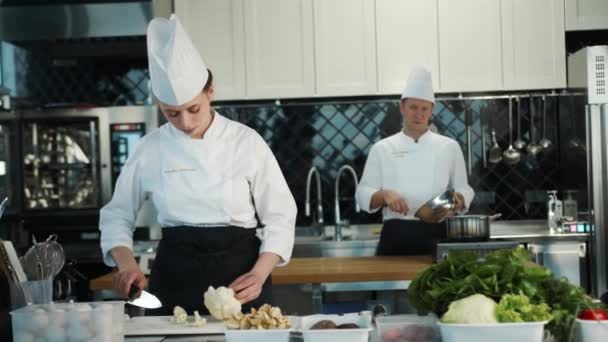 Restaurant Kitchen Portrait Male Female Chefs Preparing Dish Professionals Cooking — Vídeo de Stock