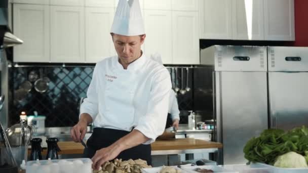 Restaurant Kitchen Portrait Male Female Chefs Preparing Dish Professionals Cooking — Stock Video