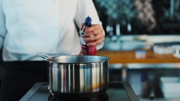 Chef Sets Fire Dish Professional Kitchen Restaurant Process Cooking Food — Stockvideo