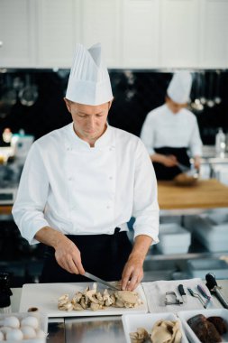 Professional kitchen: two chefs prepare delicious dish in a restaurant