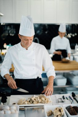 Professional cuisine: two chefs prepare delicious dish in a restaurant