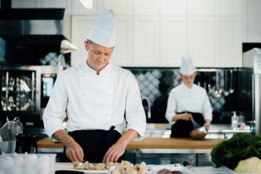 Professional restaurant kitchen: chefs prepare delicious dish