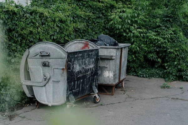 都市の葉植物の成長を背景に汚いゴミ箱 — ストック写真