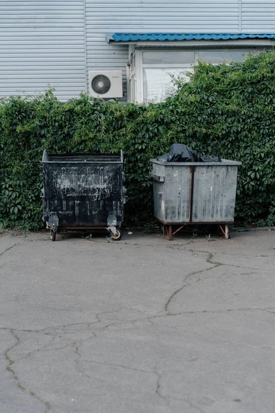 都市の葉植物の成長を背景に汚いゴミ箱 — ストック写真