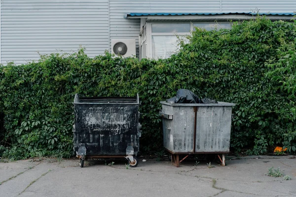 都市の葉植物の成長を背景に汚いゴミ箱 — ストック写真