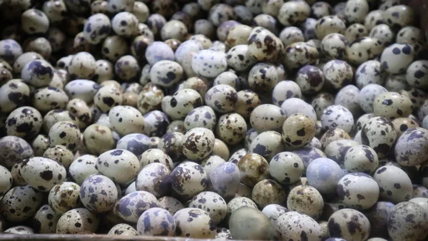 photo of quail eggs for sale in the market