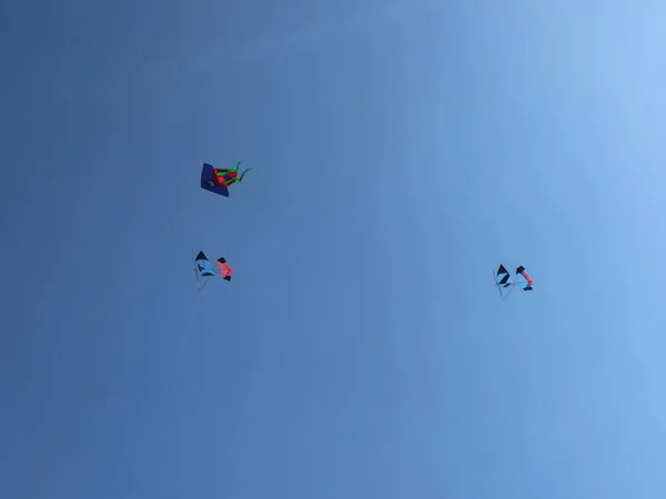 Photo Kite Flying High Blue Sky — Stock Photo, Image