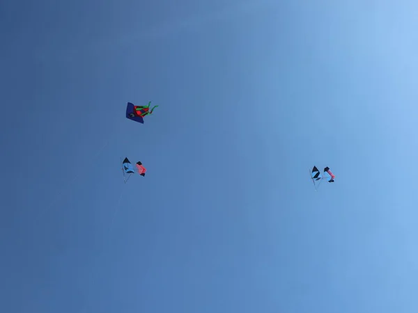 Foto Papagaio Voando Alto Céu Azul — Fotografia de Stock