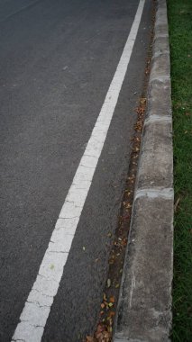 Yolun etrafında yeşil çimenler olan güzel asfalt yolun fotoğrafı.