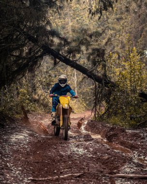Ormandaki profesyonel motosiklet sürücüsü doğa yolundaki çamurdan geçer..