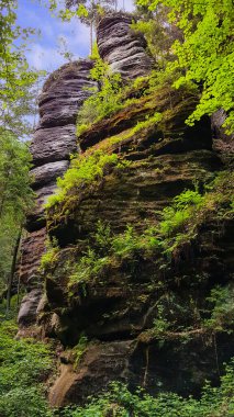 Aşırı romantik kumtaşı kaya yüzeyi Uttewalder Grund, Saksonya, Almanya 'daki Felsentor' a gidiyor.