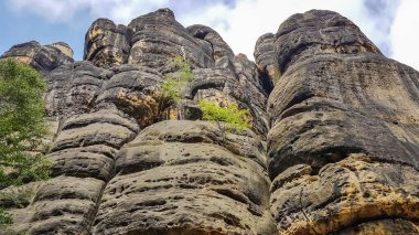Bad Schandau, Saksonya, Almanya yakınlarındaki Schrammsteine kayalıklarına giden Büyük Schrammtor kayalarındaki dik kumtaşı duvar.