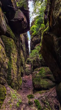 Bad Schandau, Saksonya, Almanya yakınlarındaki Schrammsteine kayalıklarına giden Lattengrund adlı orman yolunda yosunlu kayalık bir geçit.