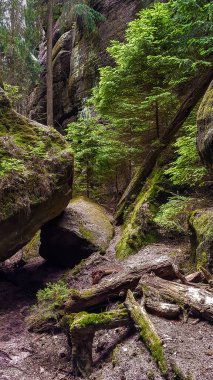 Bad Schandau, Saksonya, Almanya yakınlarındaki Schrammsteine kayalıklarına giden Lattengrund adındaki bir orman yolunun çekirdek bölgesi.