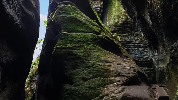 Wooden Path Damp Mossy Cliffs Way Schrammsteine Rocks Bad Schandau — Stock Photo, Image