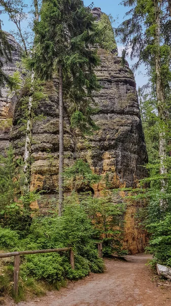 Waldweg Mit Blick Auf Sandsteinfelsen Auf Dem Weg Den Schrammsteinen — Stockfoto