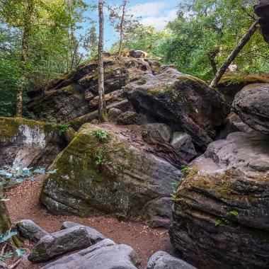 Almanya 'da Saksonya, Koenigstein yakınlarındaki Felsenlabirent Langenhennersdorf' ta tepesinde ağaçlar olan büyük kumtaşı kayaları devrildi ve tepetaklak oldu.