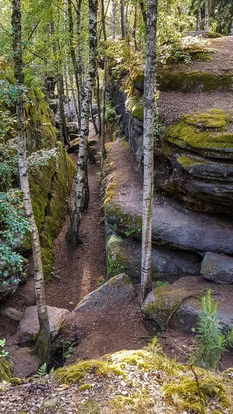Moosbewachsener Sandsteinfelsen Einem Wald Felsenlabyrinth Langenhennersdorf Bei Königstein Sachsen Deutschland — Stockfoto