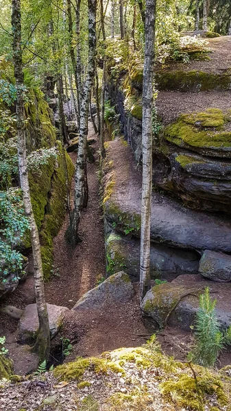 Мосси Песчаник Проход Лесу Felsenlabyrinth Langenhennersdorf Около Koenigstein Саксония Германия — стоковое фото