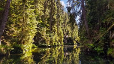 Kirnitzschklamm adında dramatik bir nehir vadisi Hinterhermsdorf, Saksonya, Almanya yakınlarındaki aşırı gelişmiş kumtaşı kayalıkları ile