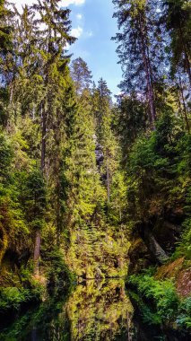 Hinterhermsdorf, Saksonya, Almanya yakınlarında Kirnitzschklamm adında vahşi ve romantik bir nehir vadisinde doğal bir nehir kapısı yanılsaması
