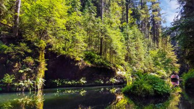 Kirnitzschklamm adında vahşi ve romantik bir nehir vadisinde tekne gezisi, Almanya 'da Saksonya, Hinterhermsdorf yakınlarında küçük bir ada