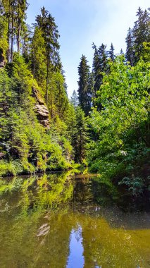 Yine de, Hinterhermsdorf, Saksonya, Almanya yakınlarında Kirnitzschklamm adında vahşi ve romantik bir nehir vadisinde berrak bir su.