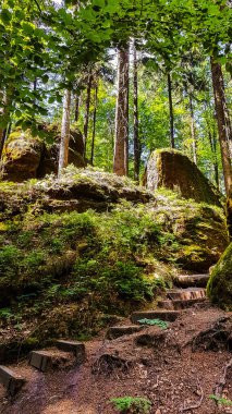 Hinterhermsdorf, Saksonya, Almanya yakınlarındaki Kirnitzschklamm 'ın üst kilidine giden bir yürüyüş yolunda kumtaşı kayaları olan doğal bir merdiven.