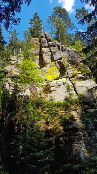 Parede Pedra Arenito Coberta Colorida Uma Floresta Uma Trilha Caminhada — Fotografia de Stock